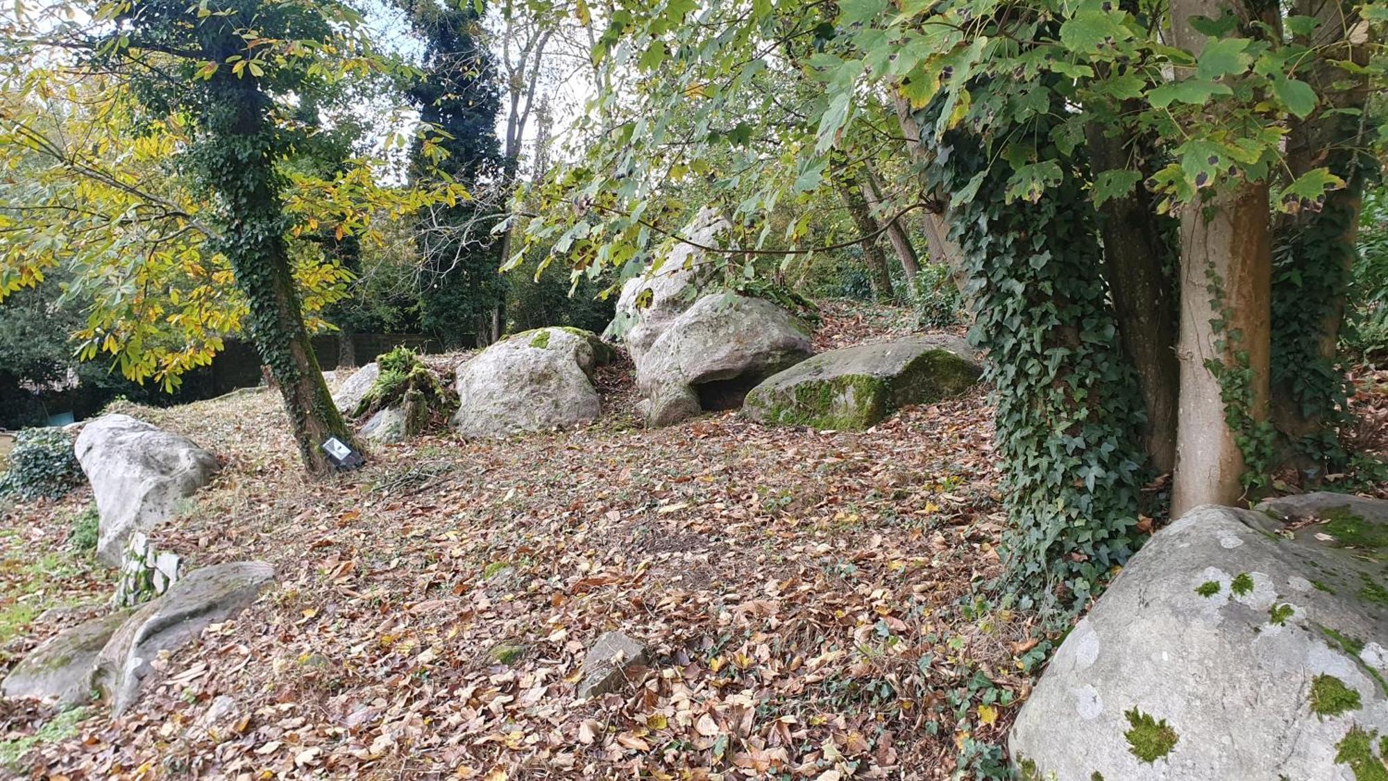 Bed and Breakfast Le Jardin Des Roches Moigny Exterior foto
