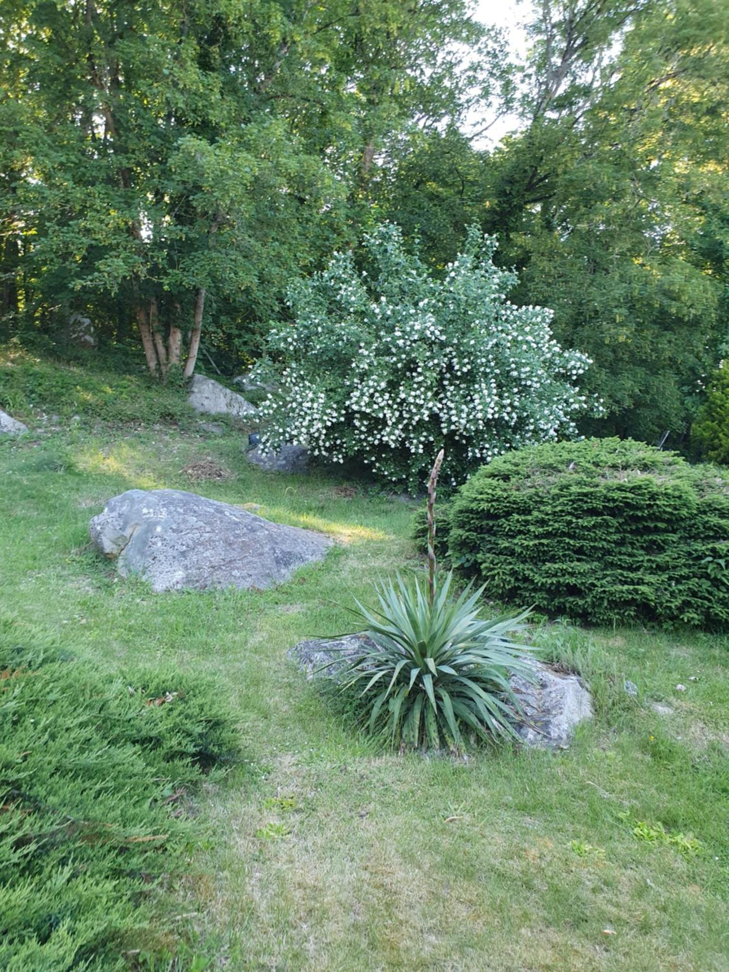 Bed and Breakfast Le Jardin Des Roches Moigny Exterior foto